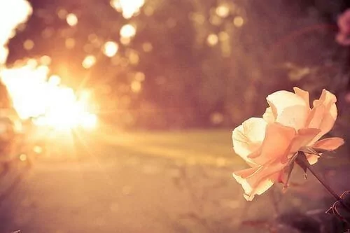20 things to remember self love beauty